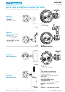 ARI-ZETRIX® Process valve ARI-ZETRIX® - FigDouble flanged process valve with metallic sealing - Triple offset ARI-ZETRIX® - FigThreaded flange process valve with metallic sealing - Triple offset