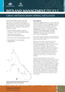 WETLAND MANAGEMENT PROFILE Great Artesian Basin spring wetlands Great Artesian Basin spring wetlands are oases in arid and semi-arid zones. These springs and their surrounding areas are important in environmental, econom