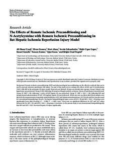 The Effects of Remote Ischemic Preconditioning and N-Acetylcysteine with Remote Ischemic Preconditioning in Rat Hepatic Ischemia Reperfusion Injury Model