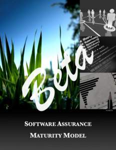 Be ta SOFTWARE ASSURANCE MATURITY MODEL  V0.8 BETA