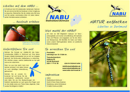Libellen mit dem NABU ... In Dortmund sind 39 Libellenarten beheimatet. Nehmen Sie sich einmal die Zeit die Gewässer in Ihrer Umgebung zu besuchen. Beobachten Sie die Libellen eine Zeit lang und Sie werden verschiedene 