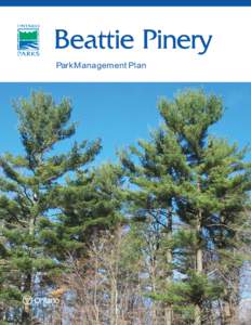 Microsoft Word -  Beattie Pinery -Park Management Plan - Approved.doc