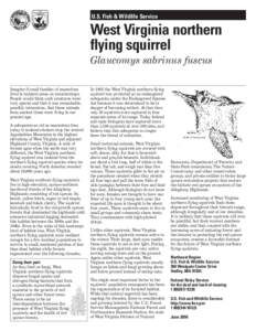 Geography of North America / Northern flying squirrel / Squirrel / New World flying squirrel / Appalachian Mountains / Allegheny Mountains / Southern flying squirrel / Delmarva fox squirrel / Geography of the United States / Tree squirrels / Flying squirrels