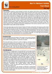 Mai Po Wetland Habitat Fact Sheet Gei wai Introduction Gei wai (literally meaning a pond enclosed by bunds) are traditional tidal shrimp ponds constructed in coastal areas. In Asia, people living and working in bays or e