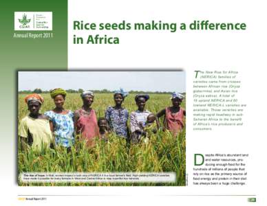 Annual ReportRice seeds making a difference in Africa T