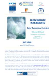 BLUE ENERGIES IN THE MEDITERRANEAN SEA STATE OF DEVELOPMENT AND PERSPECTIVES 10 December 2014, Marseille Meeting Venue: Villa Méditerranée Esplanade du J4