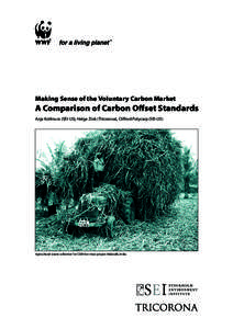 Making Sense of the Voluntary Carbon Market  A Comparison of Carbon Offset Standards Anja Kollmuss (SEI-US), Helge Zink (Tricorona), Clifford Polycarp (SEI-US)  Agricultural waste collection for CDM bio-mass project Mala