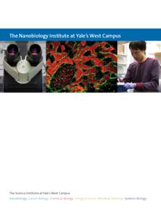 The Nanobiology Institute at Yale’s West Campus  The Science Institutes at Yale’s West Campus Nanobiology Cancer Biology Chemical Biology Energy Sciences Microbial Diversity Systems Biology  Yale scientists are exp