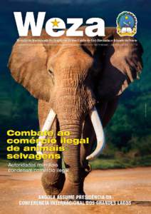 ANGOLA-SAFRICA-DRCONGO-UNREST-DIPLOMACY