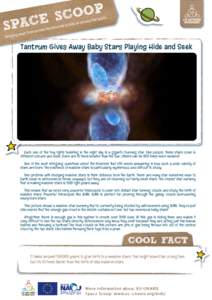 Tantrum Gives Away Baby Stars Playing Hide and Seek  Each one of the tiny lights twinkling in the night sky is a gigantic burning star. Like people, these stars come in different colours and sizes. Some are 10 times smal