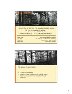 Fir / Beech / Abies alba / Badín / Forest / Stužica / Systems ecology / Flora / Abies