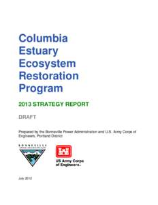 CEERP 2012 Strategy Report