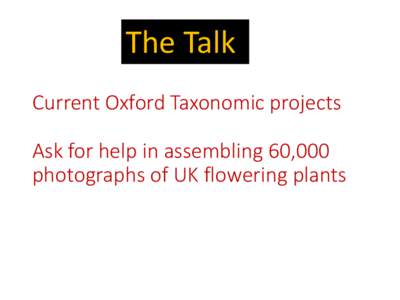 The Talk Current Oxford Taxonomic projects Ask for help in assembling 60,000 photographs of UK flowering plants  Acanthaceae Pollen