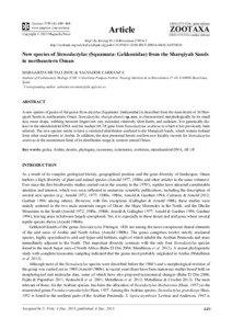 New species of Stenodactylus (Squamata: Gekkonidae) from the Sharqiyah Sands in northeastern Oman