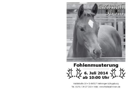 Reitstall Krein Fohlenmusterung 6. Juli 2014 ab 10:00 Uhr