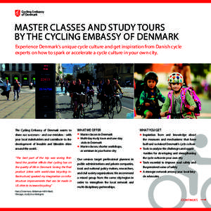 Europe / Cycling / Exercise / Bicycle culture / Denmark / Bicycle / Transport / Sustainable transport / Cycling in Denmark