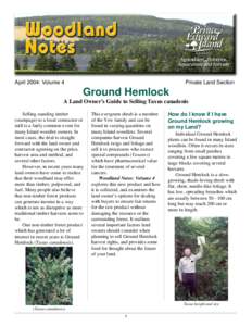 Volume 4. Ground Hemlock. A Landowners Guide to Selling Taxus canadensis