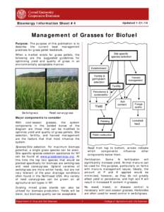 Microsoft Word - Biomass Info Sheet #4 Management