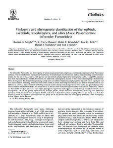 Ornithology / Tyranni / Tapaculo / Cladistics / Formicariidae / Phylogenetic tree / Split / Clade / Passerine / Phylogenetics / Woodcreeper / Maximum parsimony