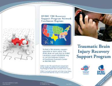 2014_TBI_RSP_Brochure.pdf