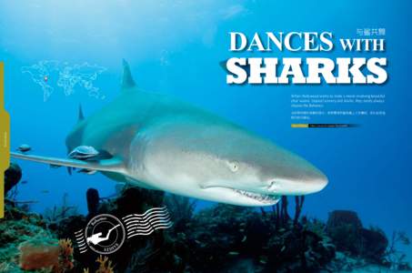 Dances with  与鲨共舞 Sharks When Hollywood wants to make a movie involving beautiful