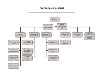 Organisational chart  Director Legal advisor