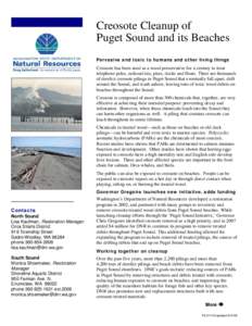 Microsoft Word - Creosote Cleanup of Puget Sound and its Beaches.doc
