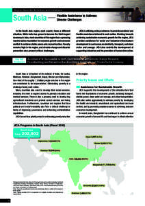 Region-Specific Activities and Initiatives  Assistance to Address South Asia ─ Flexible Diverse Challenges In the South Asia region, each country faces a different