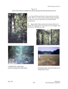 Field Evaluation of Parcels  Fig[removed]Some of the reference standard sites used to develop the field assessment protocol  » (a) Coastal Plain oak-hickory old growth forest in Belt