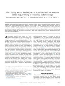 The ``Flying Swan'' Technique: A Novel Method for Anterior Labral Repair Using a Tensioned Suture Bridge
