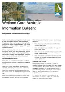 Wetland Care Australia Information Bulletin: Why Water Plants are Good Guys Wetland Care Australia is working with community groups to repair wetlands and restore the health of these vital