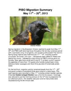 PIBO Migration Summary May 11th – 20th, 2013 American Redstart  Spring migration in Southwestern Ontario reached its peak from May 11th –