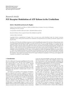 P2Y Receptor Modulation of ATP Release in the Urothelium