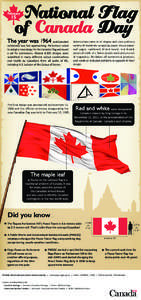 flagday_infographic_EN_final_text_expanded