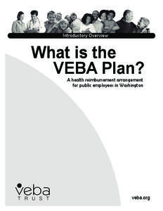 Introductory Overview  What is the VEBA Plan? A health reimbursement arrangement for public employees in Washington