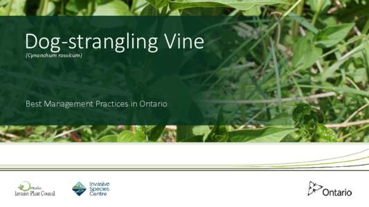 Dog-strangling Vine (Cynanchum rossicum) Best Management Practices in Ontario  Terrestrial Best Management Training Modules