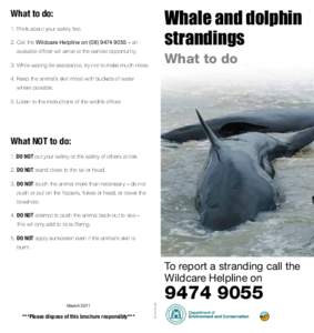 Whale and dolphin strandings What to do: 1. Think about your safety first. 2. Call the Wildcare Helpline on[removed] – an
