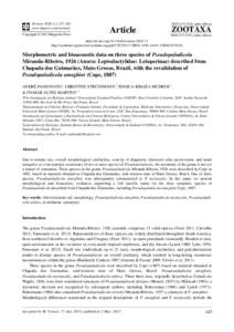 Morphometric and bioacoustic data on three species of Pseudopaludicola Miranda-Ribeiro, 1926 (Anura: Leptodactylidae: Leiuperinae) described from Chapada dos Guimarães, Mato Grosso, Brazil, with the revalidation of Pseudopaludicola ameghini (Cope, 1887)