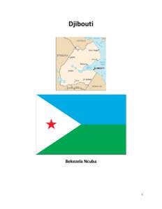 Microsoft Word - Djibouti Final.docx