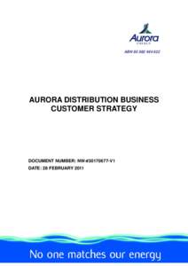 Aurora Distribution Business Customer Strategy