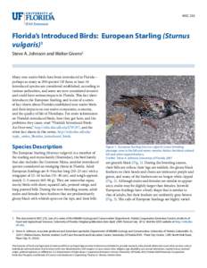 WEC 255  Florida’s Introduced Birds: European Starling (Sturnus vulgaris)1 Steve A. Johnson and Walter Givens2