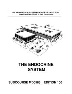 Neuroendocrinology / Head and neck / Glands / Peptide hormones / Endocrine gland / Pituitary gland / Tropic hormone / Hormone / Hypothalamus / Anatomy / Biology / Endocrine system