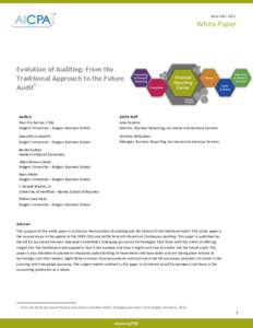 November[removed]White Paper Evolution of Auditing: From the Traditional Approach to the Future