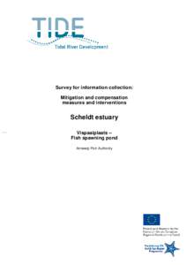 Survey for information collection: Mitigation and compensation measures and interventions Scheldt estuary Vispaaiplaats –