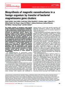 LETTERS PUBLISHED ONLINE: 23 FEBRUARY 2014 | DOI: [removed]NNANO[removed]Biosynthesis of magnetic nanostructures in a foreign organism by transfer of bacterial magnetosome gene clusters