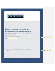 MSFE LEPG Handbook Template[removed]