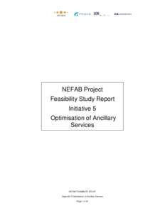 NEFAB Project Feasibility Study Report Initiative 5 Optimisation of Ancillary Services