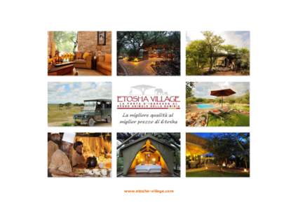 www.etosha-village.com  La scelta ideale per gli amanti della natura ed al tempo stesso eccellenti servizi ed ottima cucina ! L’Etosha Village, prendendo spunto per il suo stile moderno dal tipico villaggio africano, 