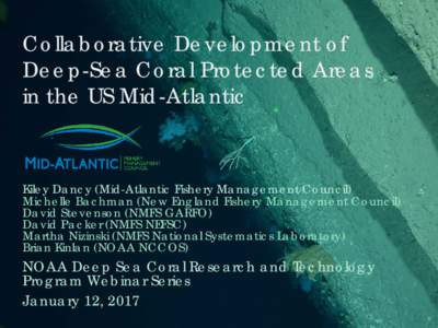 Collaborative Development of Deep-Sea Coral Protected Areas in the US Mid-Atlantic Kiley Dancy (Mid-Atlantic Fishery Management Council) Michelle Bachman (New England Fishery Management Council)