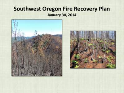 Southwest Oregon Fire Recovery Plan